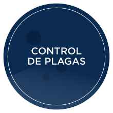 Tratamiento de pisos